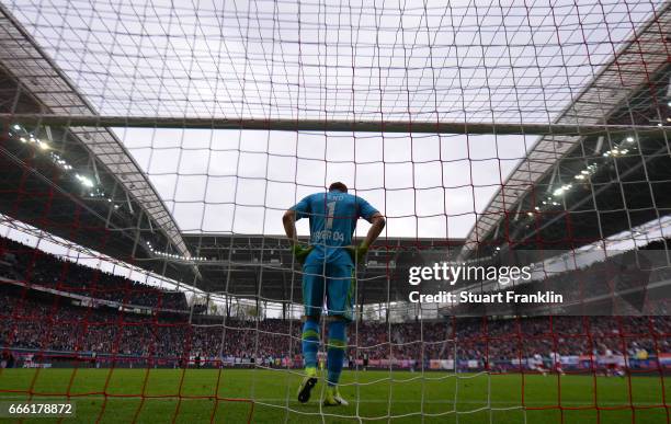 Bernd Leno of Leverkusen looks dejected during the Bundesliga match between RB Leipzig and Bayer 04 Leverkusen at Red Bull Arena on April 8, 2017 in...