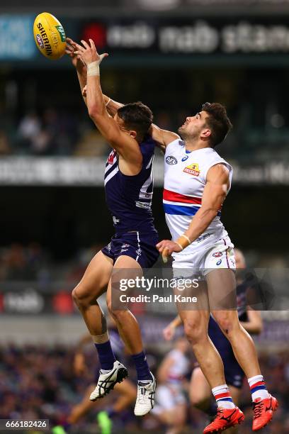 Marcus Adams of the Bulldogs spoils the mark for Harley Balic of the Dockers during the round three AFL match between the Fremantle Dockers and the...