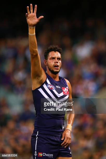 Michael Johnson of the Dockers stands on the mark for Tom Boyd of the Bulldogs during the round three AFL match between the Fremantle Dockers and the...