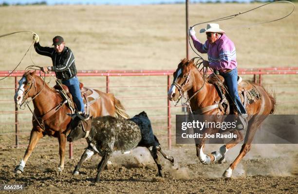 Left Handed Ropers Calf Sound Photos and Premium High Res Pictures - Getty Images