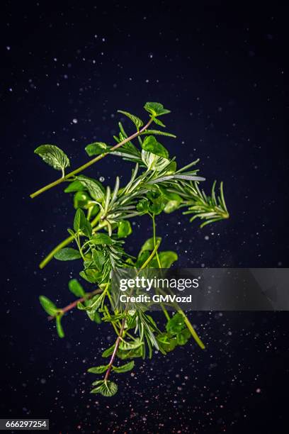 herb spice mix food explosion - thyme stock pictures, royalty-free photos & images