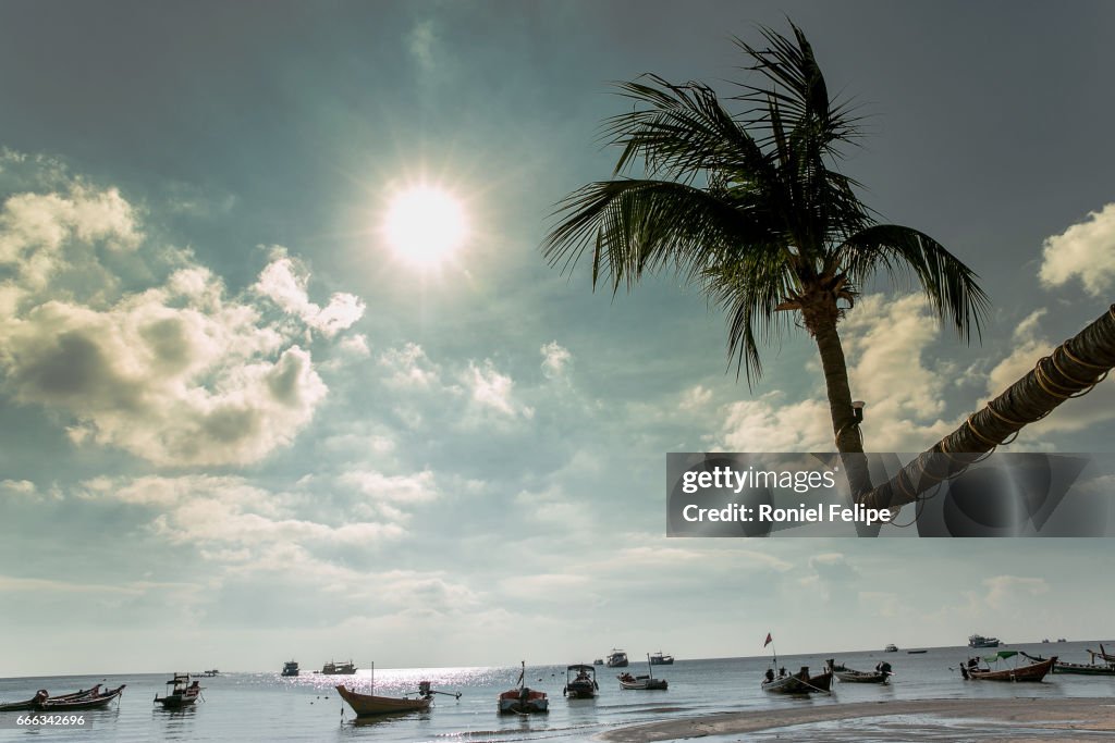 Koh Tao Sky