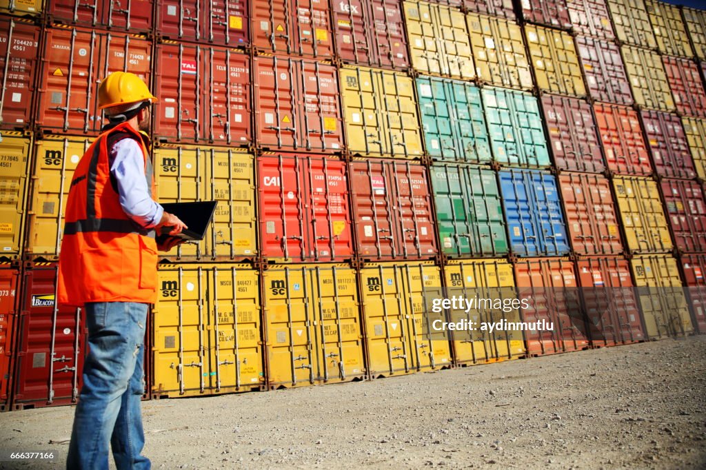 Commercial docks worker examining containers