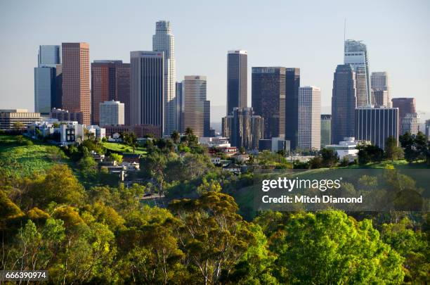 downtown los angeles - los angeles skyline stock-fotos und bilder