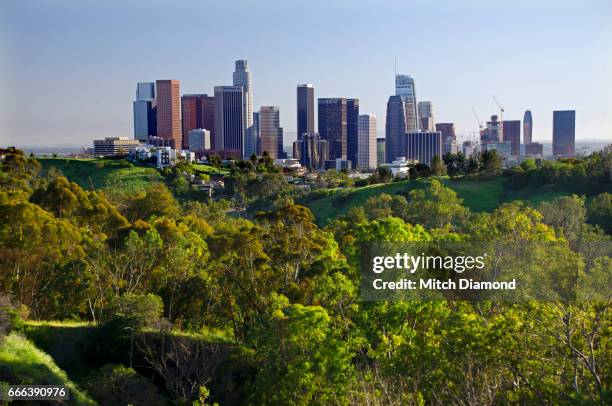 downtown los angeles - los angeles skyline daytime stock-fotos und bilder