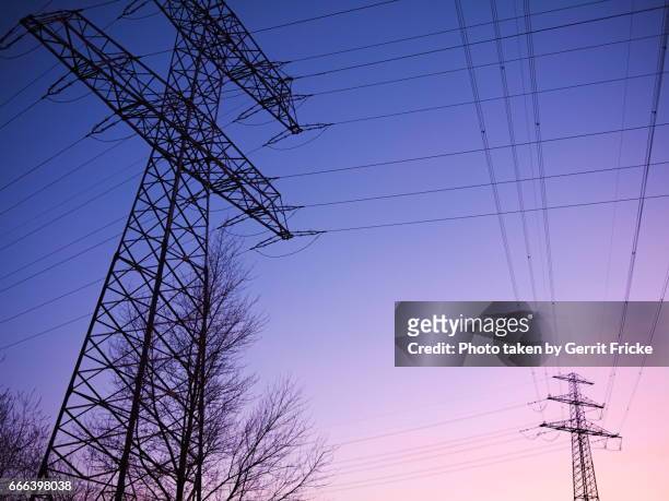 power grids during sunset, electricity pylon - strommast stock pictures, royalty-free photos & images