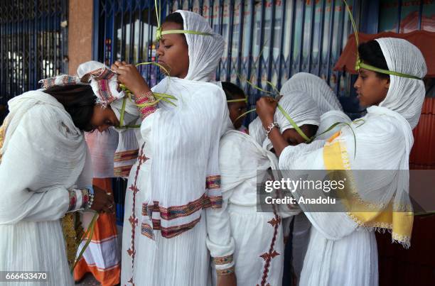 Ethiopian women are seen with their leaf crowns for the Hosanna Day celebrations ahead of the Easter, near the St. Urael Orthodox Church in Addis...