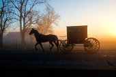 An Amish Buggy in Profile and in Silhouette in the Morning Fog