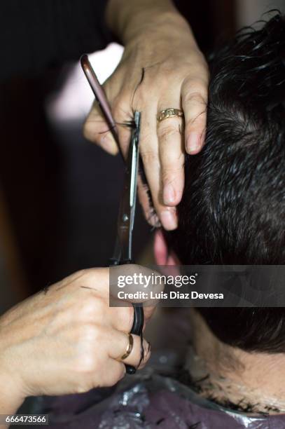 haircut at home with scissors - mirar hacia arriba stock pictures, royalty-free photos & images