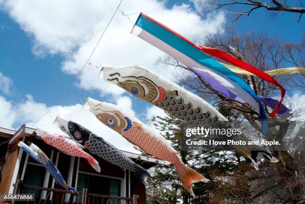 carp of the highlands - 長野県 stock pictures, royalty-free photos & images