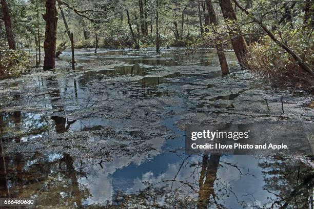 kamikochi spring scenery - 歩く stock-fotos und bilder