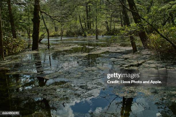 kamikochi spring scenery - 長野県 fotografías e imágenes de stock