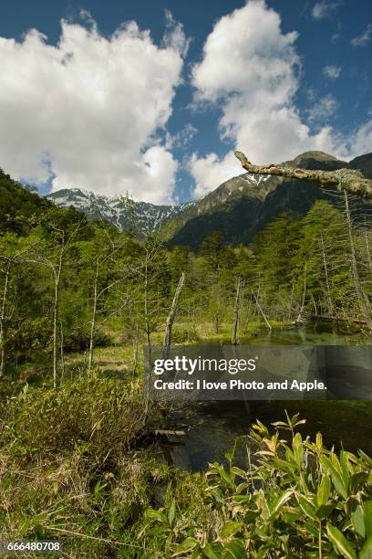 kamikochi spring scenery - 歩く stock-fotos und bilder