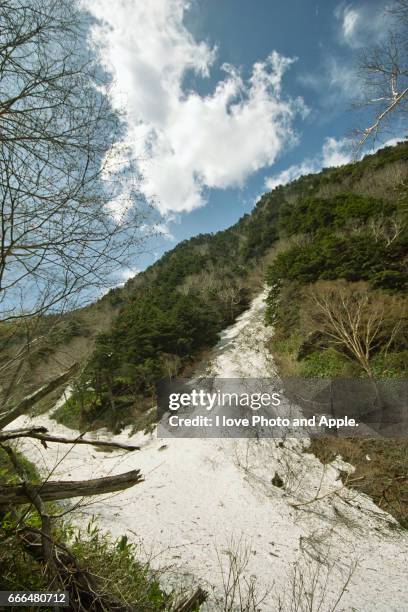 kamikochi spring scenery - 歩く 個照片及圖片檔