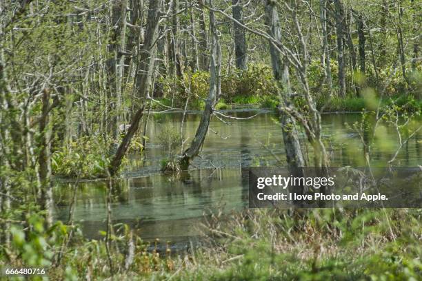 kamikochi spring scenery - 長野県 fotografías e imágenes de stock