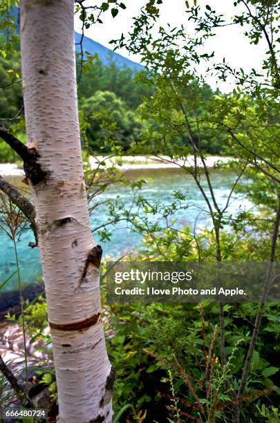 kamikochi scenery - 歩く stock-fotos und bilder