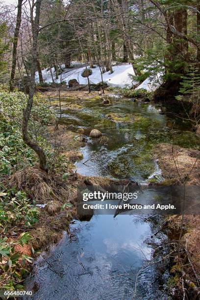 kamikochi spring scenery - 長野県 fotografías e imágenes de stock