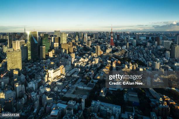 tokyo tower - 首都 stock pictures, royalty-free photos & images