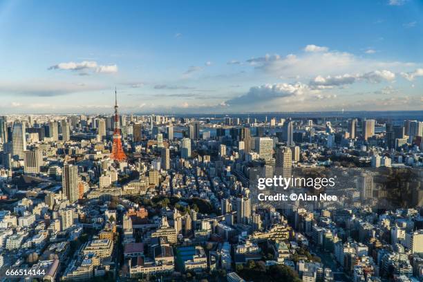 tokyo tower - 都市 stock-fotos und bilder