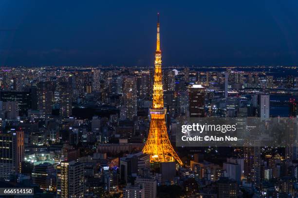 tokyo tower - 都市 stock-fotos und bilder