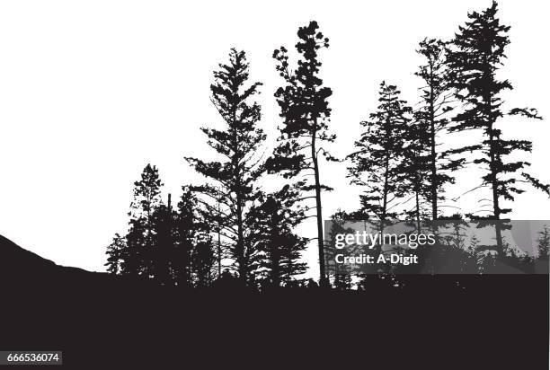 hillside forest trees - glade stock illustrations