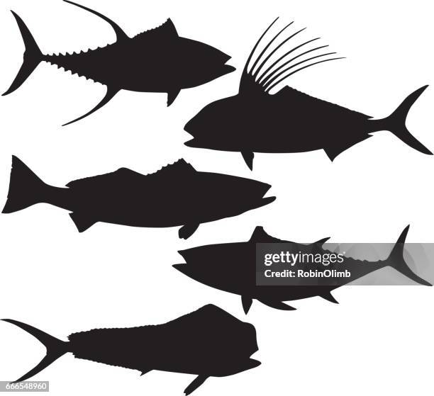 ilustraciones, imágenes clip art, dibujos animados e iconos de stock de siluetas de peces - bonito del norte