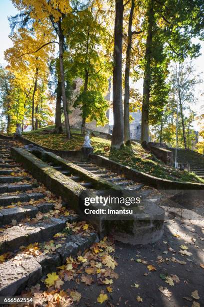 park of cesis castle in autumn - cesis latvia stock pictures, royalty-free photos & images