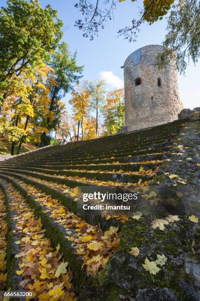 park of cesis castle in autumn - cesis latvia stock pictures, royalty-free photos & images