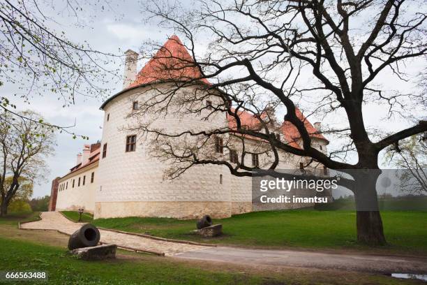 bauska castle - bauska stock pictures, royalty-free photos & images