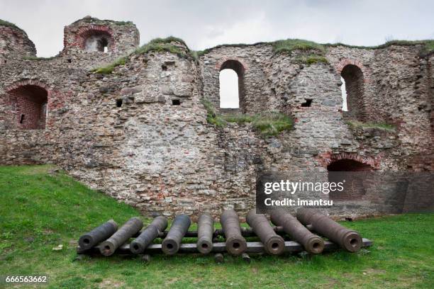 bauska castle - bauska stock pictures, royalty-free photos & images