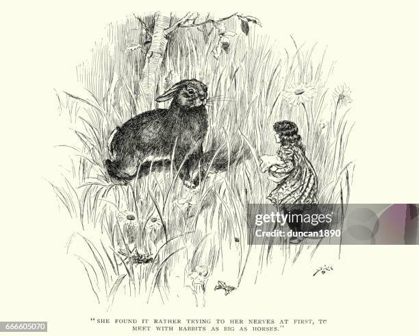 Giant Rabbit Cartoonstock Giant Rabbit Photos and Premium High Res Pictures - Getty Images