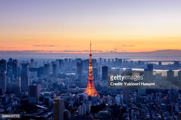 tokyo at dawn - prefettura di tokyo foto e immagini stock