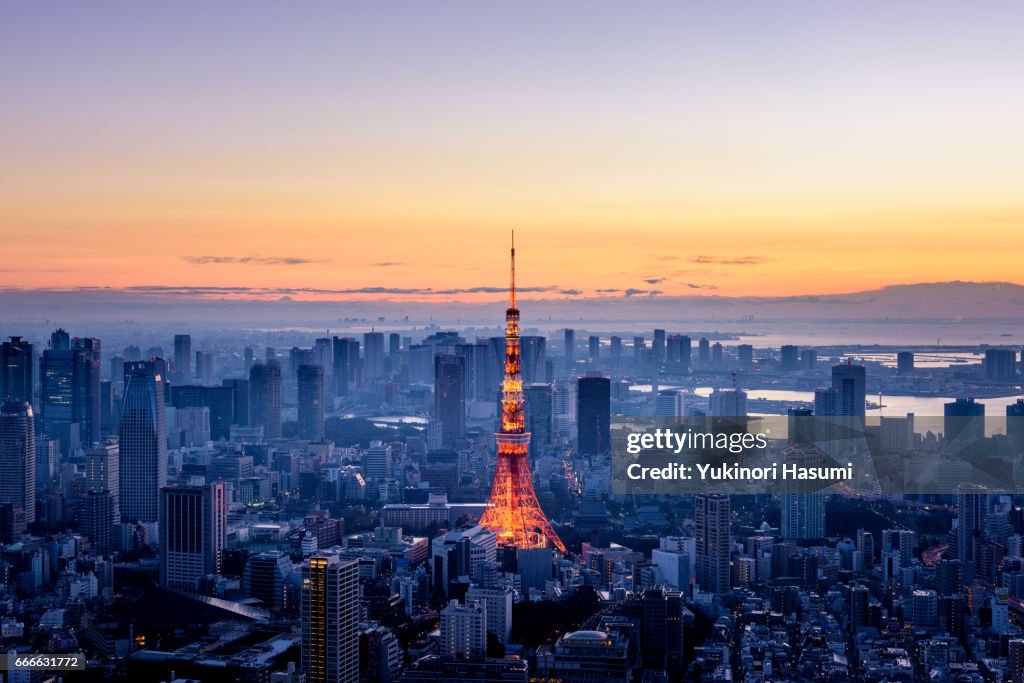 Tokyo at Dawn