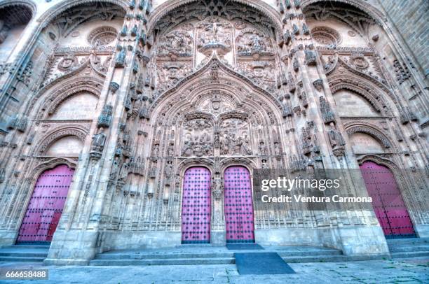 new cathedral of salamanca, spain - akademisches lernen 個照片及圖片檔