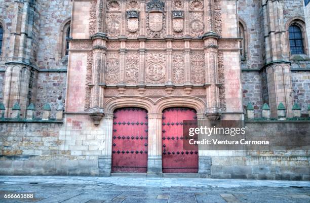 university of salamanca, spain - akademisches lernen stock pictures, royalty-free photos & images