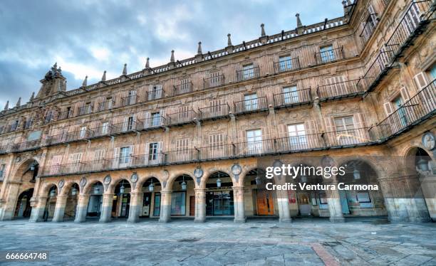 plaza mayor - salamanca, spain - akademisches lernen stock pictures, royalty-free photos & images