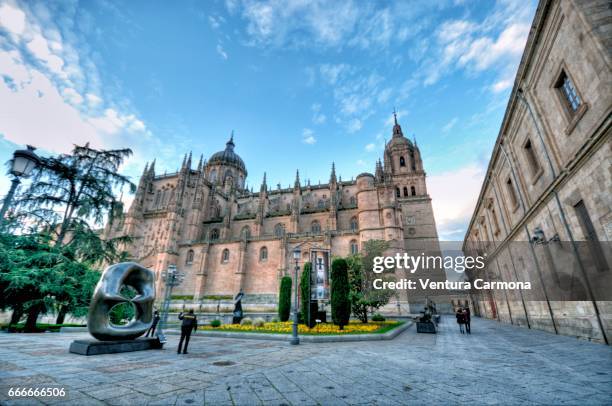 new cathedral of salamanca, spain - städtischer platz stock pictures, royalty-free photos & images