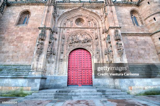 new cathedral of salamanca, spain - akademisches lernen 個照片及圖片檔