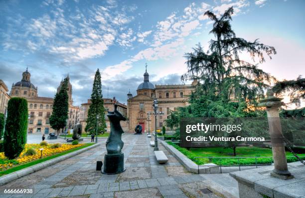 plaza de anaya - salamanca, spain - städtischer platz fotografías e imágenes de stock