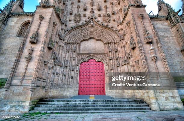 new cathedral of salamanca, spain - städtischer platz fotografías e imágenes de stock