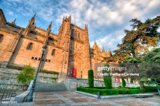 new cathedral of salamanca, spain - gebäudefront stock pictures, royalty-free photos & images