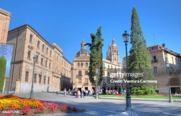 plaza de anaya - salamanca, spain - städtischer platz fotografías e imágenes de stock