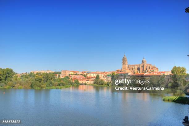 tormes river and the new cathedral of salamanca, spain - geschichtlich ストックフォトと画像