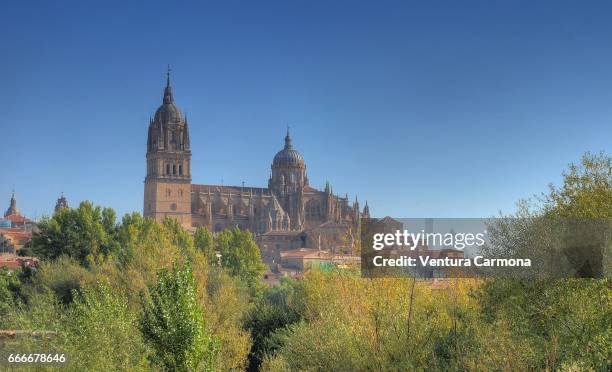 new cathedral of salamanca, spain - spanienrundfahrt stock pictures, royalty-free photos & images