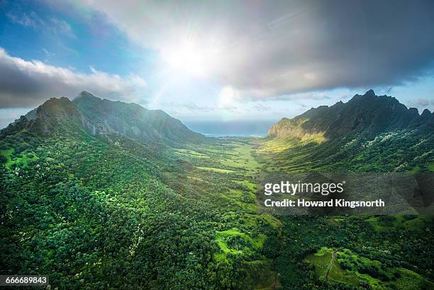 aerial of tropical rainforest, hawaii - weelderige plantengroei stockfoto's en -beelden