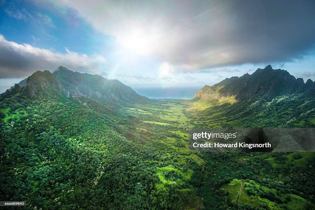 Aerial of Tropical rainforest, Hawaii