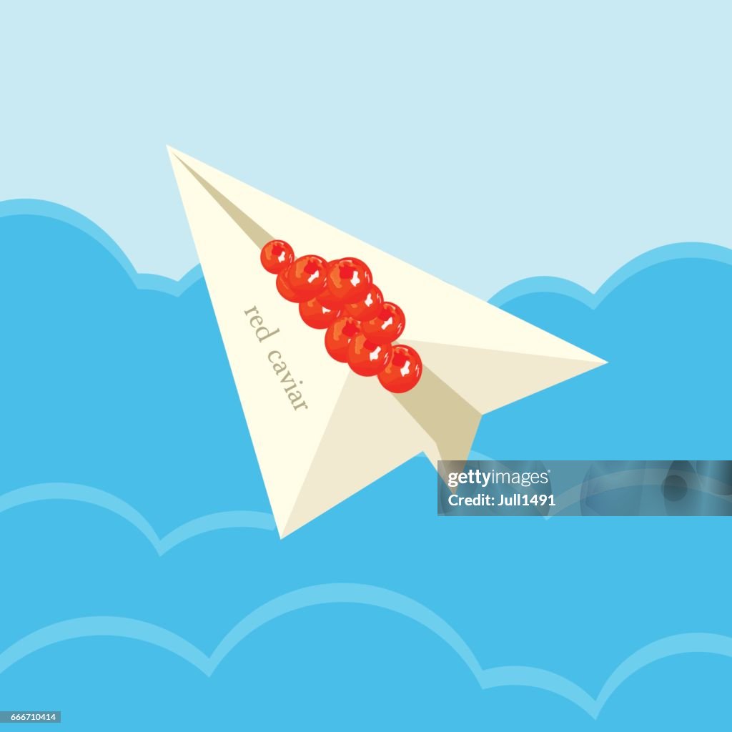 Paper airplane