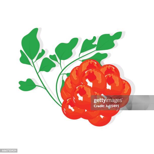 appetizing red caviar with parsley - salted egg stock illustrations