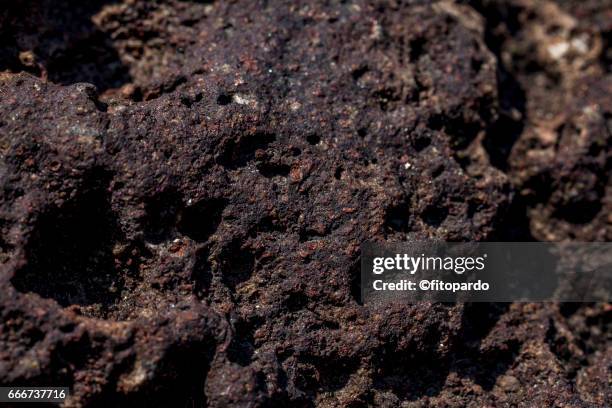 volcanic rock texture close up - paysage volcanique photos et images de collection