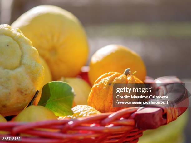 fruit basket close up - cibo stock-fotos und bilder